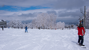ski_season