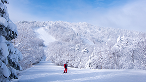 ski_season