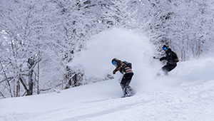 ski_season