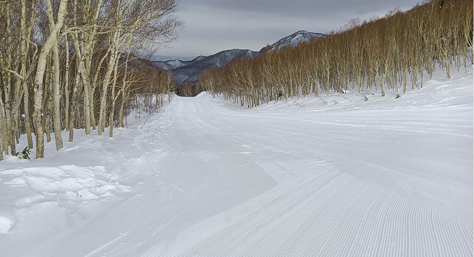 nishitateyama_wc_course