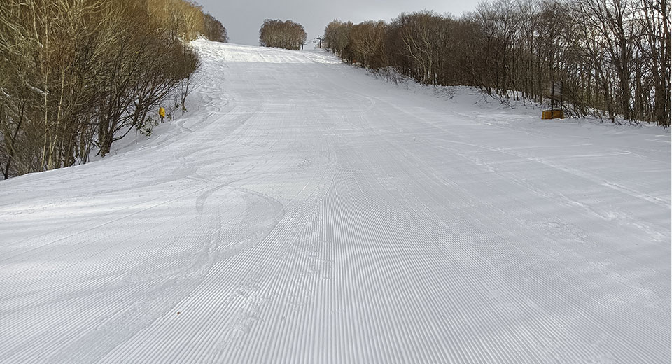 nishitateyama_wc_course